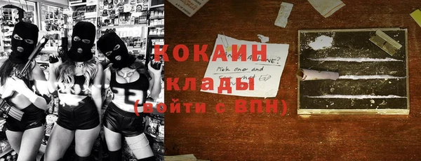 прущие грибы Михайлов